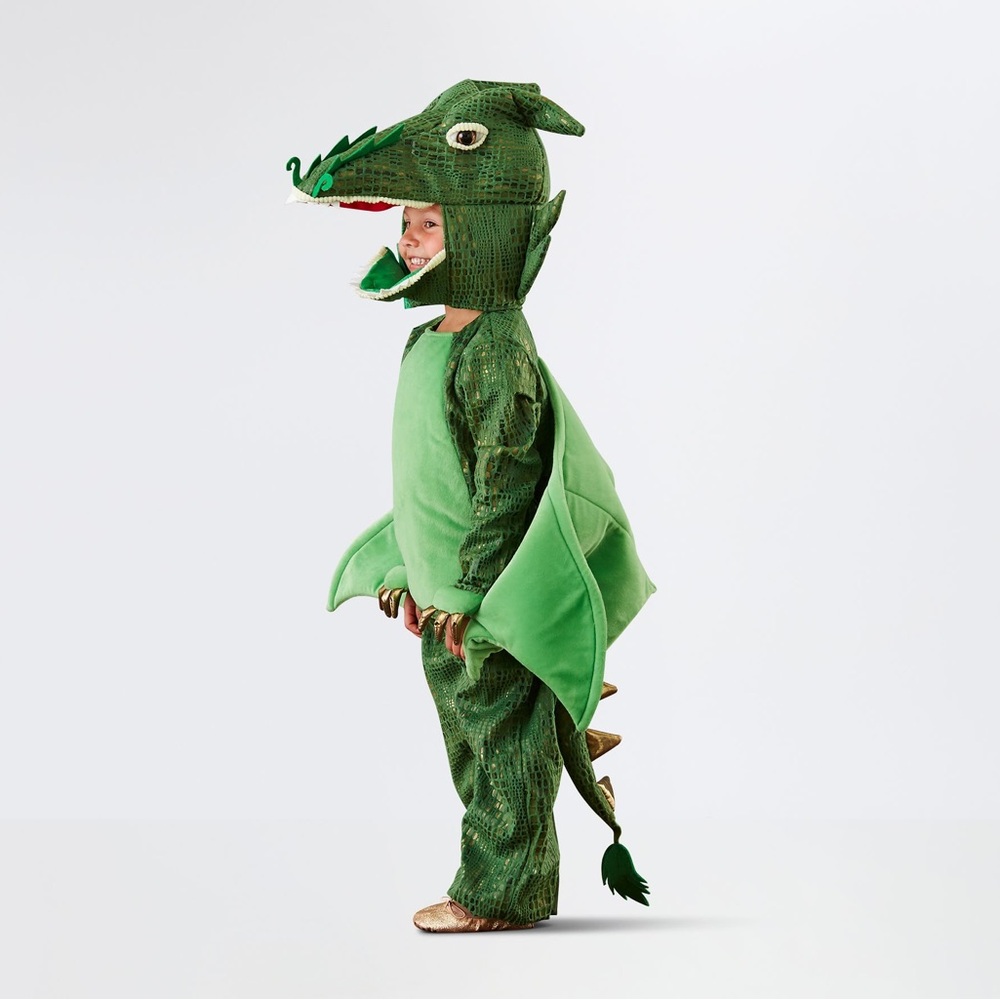 Pottery Barn Kids Green Dragon Costume - Picture 2 of 16